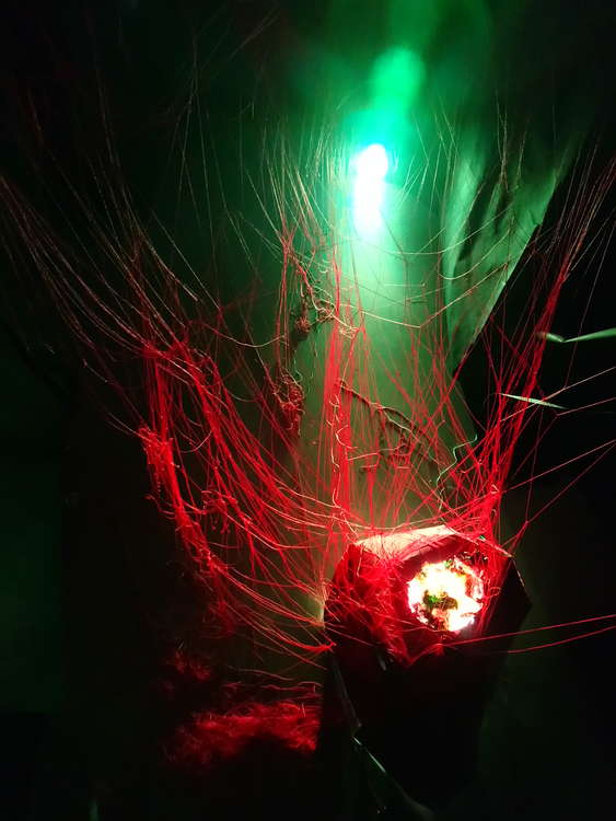 I-Light